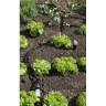 Шланг KARCHER RAIN SYSTEM 1/2 для капельного полива 2,645-227